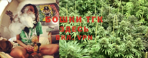 PSILOCYBIN Армянск